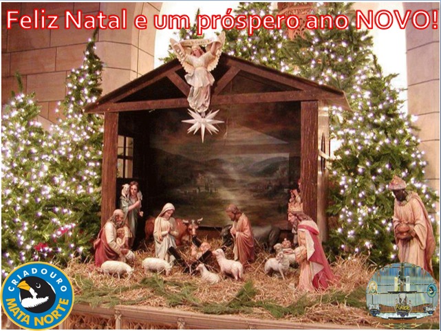 Feliz Natal e um Próspero Ano Novo para todos os nossos amigos! - Criadouro  Mata Norte